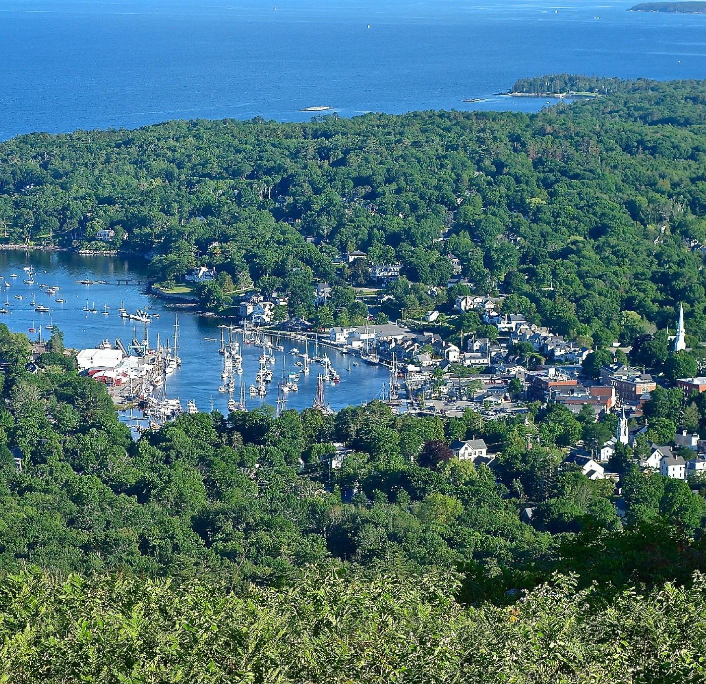 Legal DNA Paternity Test in Camden, ME